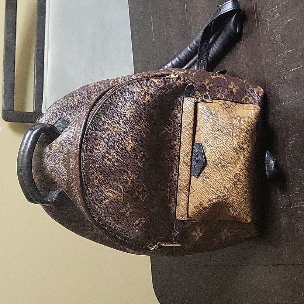 Louis Vuitton Palm Springs PM backpack